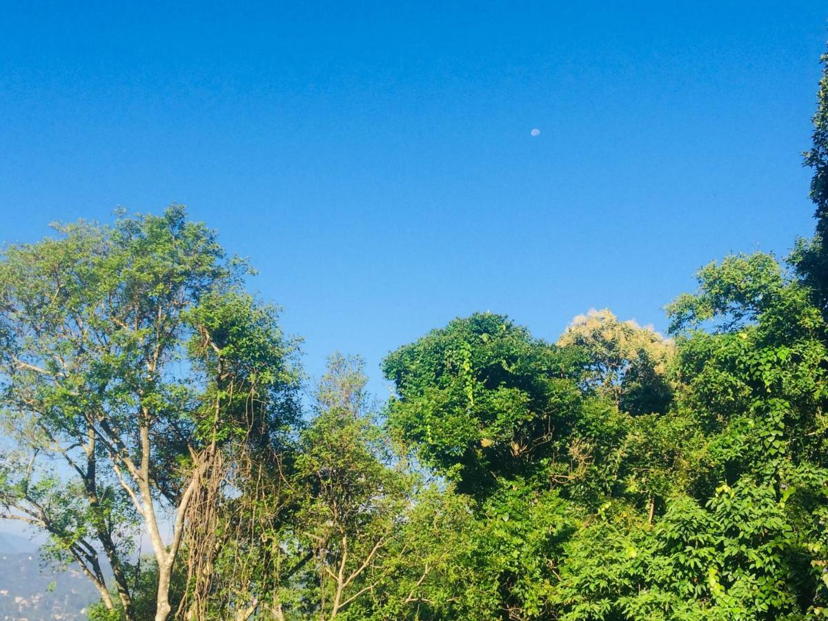 康提Selyna Sky Terrace住宿加早餐旅馆 外观 照片